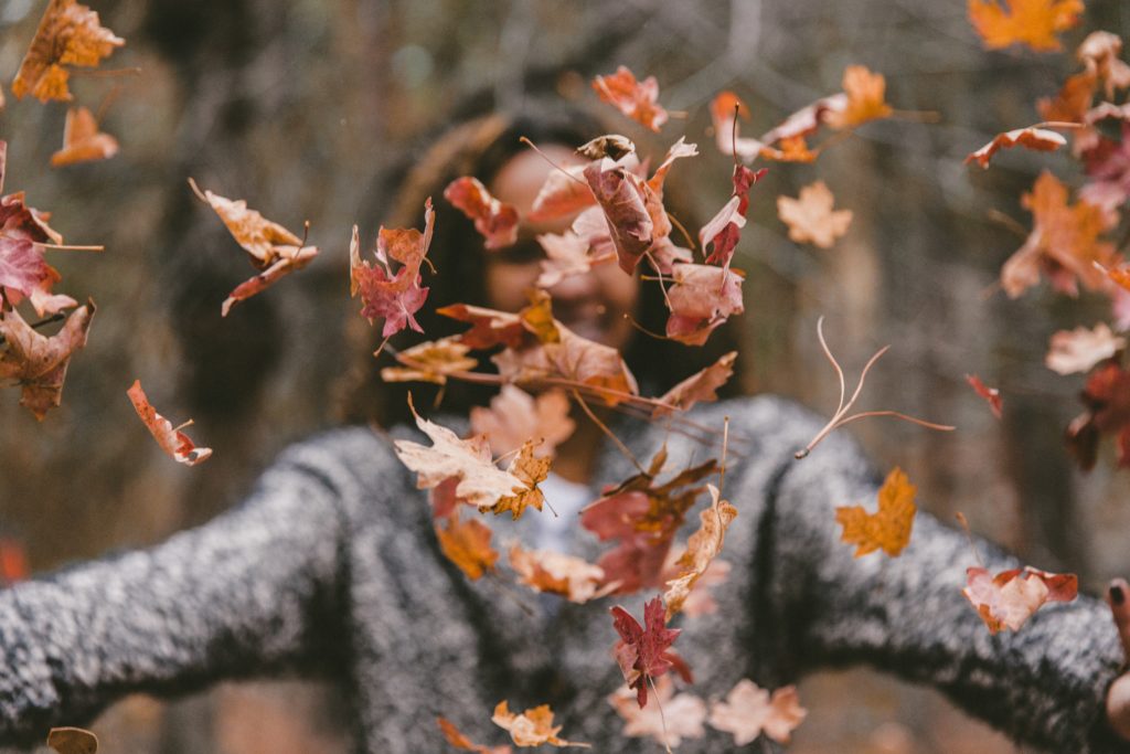 Fall in Western New York